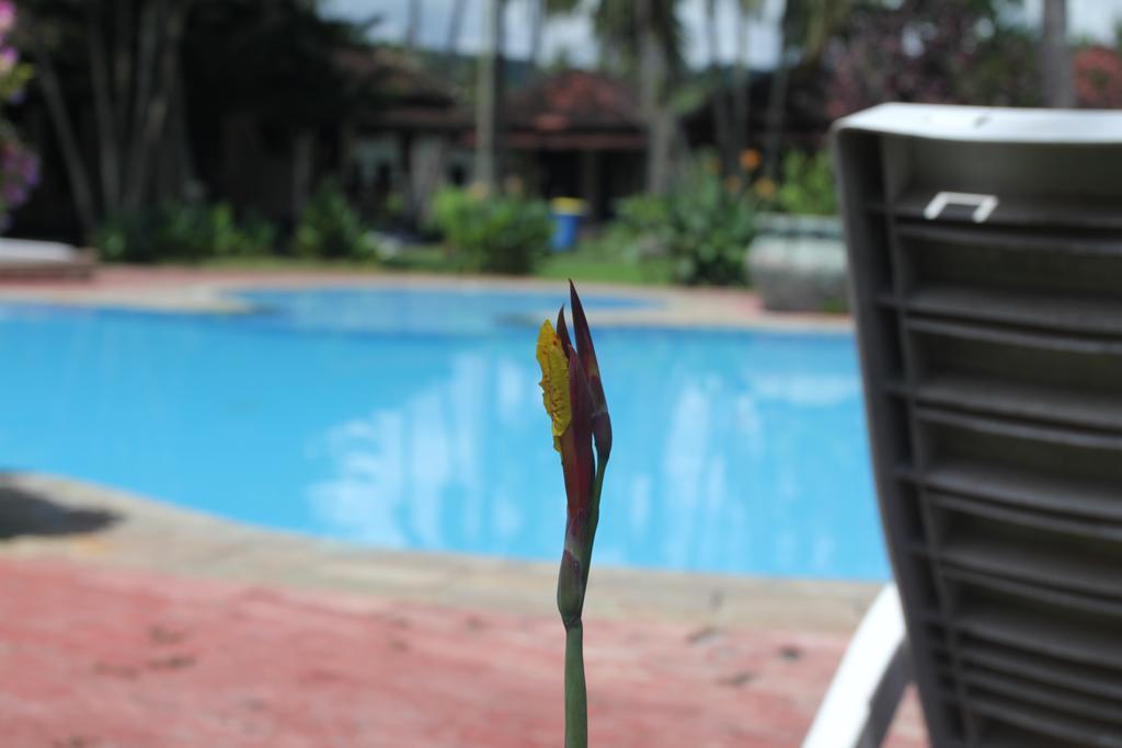 Kuta Indah Hotel Exterior foto
